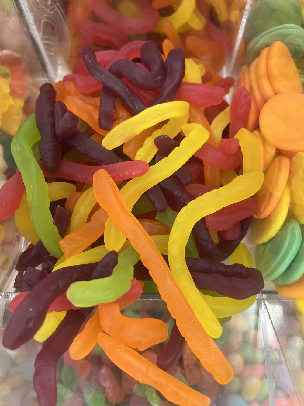 Snakes (TNCC)